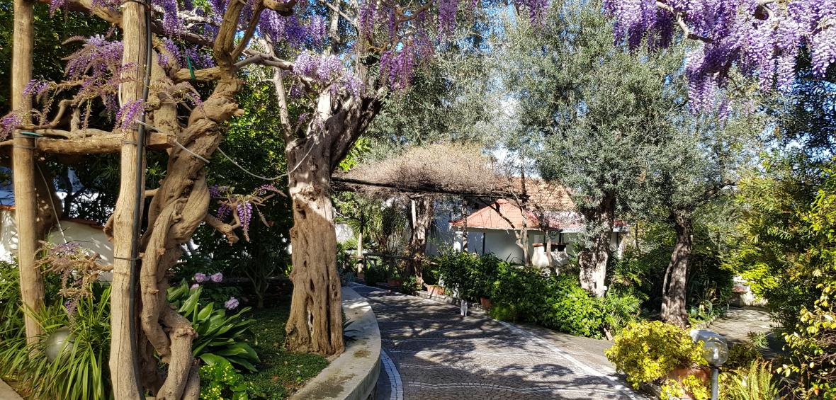 External - Jardin et Parking