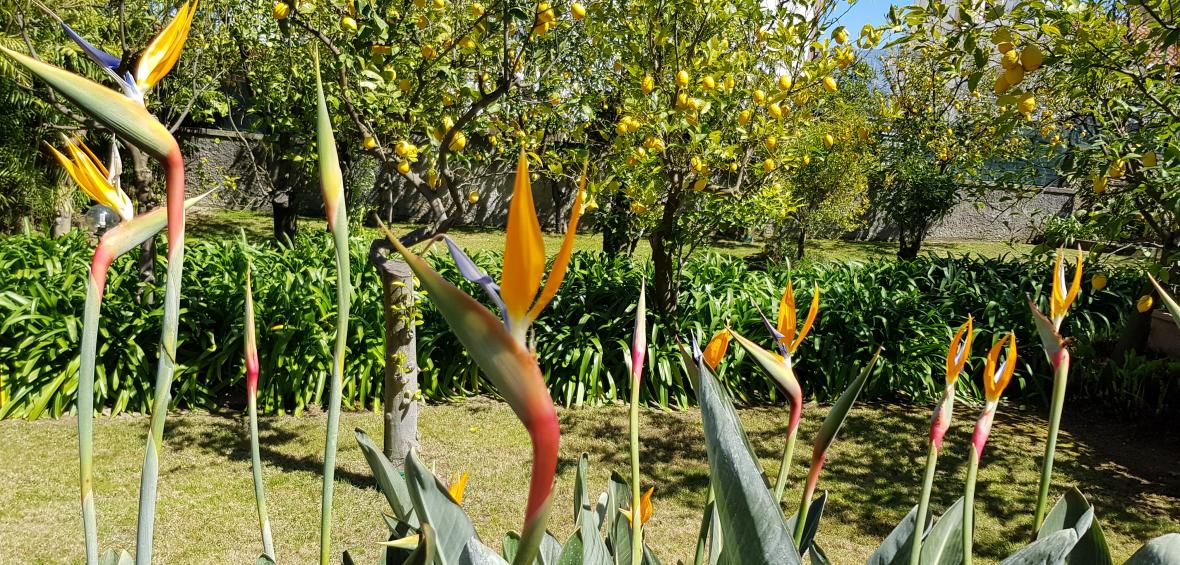 Esterni - Giardino e parcheggio