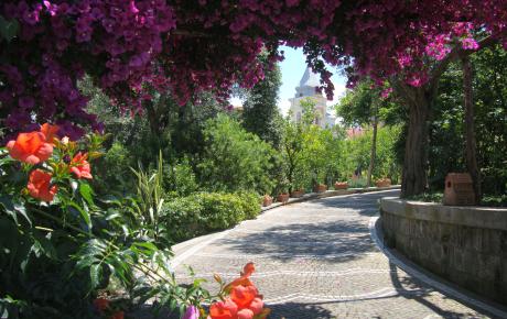 Giardino e parcheggio