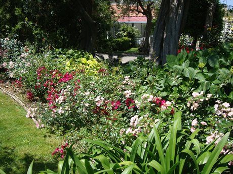 Villa Kalimera Sorrento